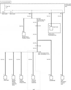 Acura TL - wiring diagram - power distribution (part 15)
