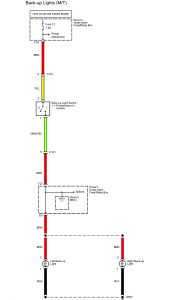 Acura TL - wiring diagram - reverse lamp M/T
