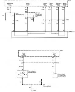 Acura RL - wiring diagram - speed control (part 7)