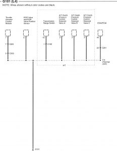 Honda Accord - wiring diagram - ground distribution (part 2)